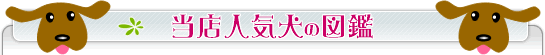 犬の図鑑